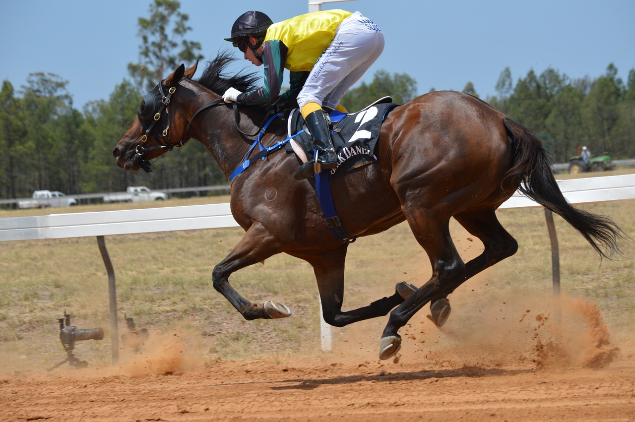 Image - sport action racing horses motion