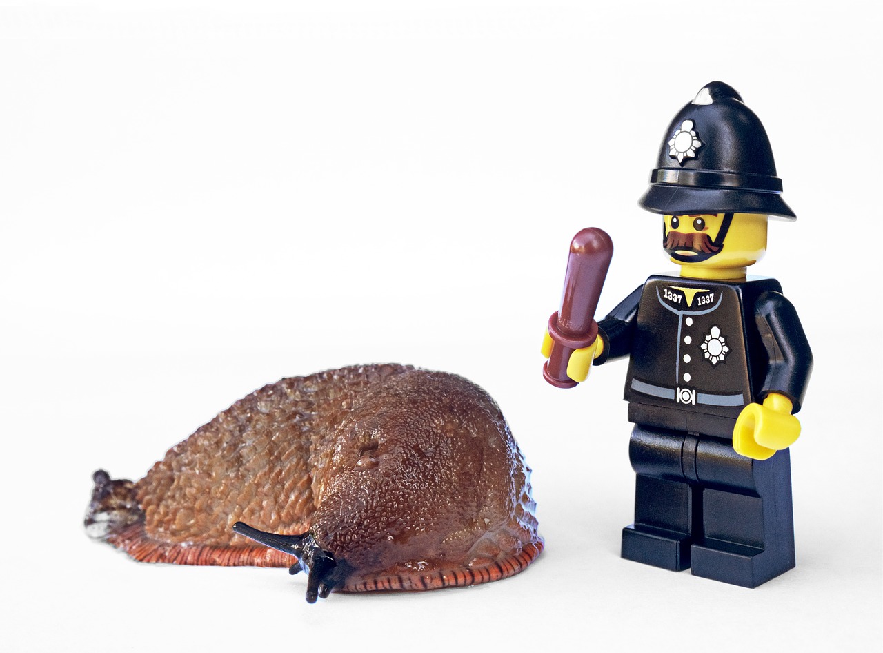 Image - slug policeman lego garden pest