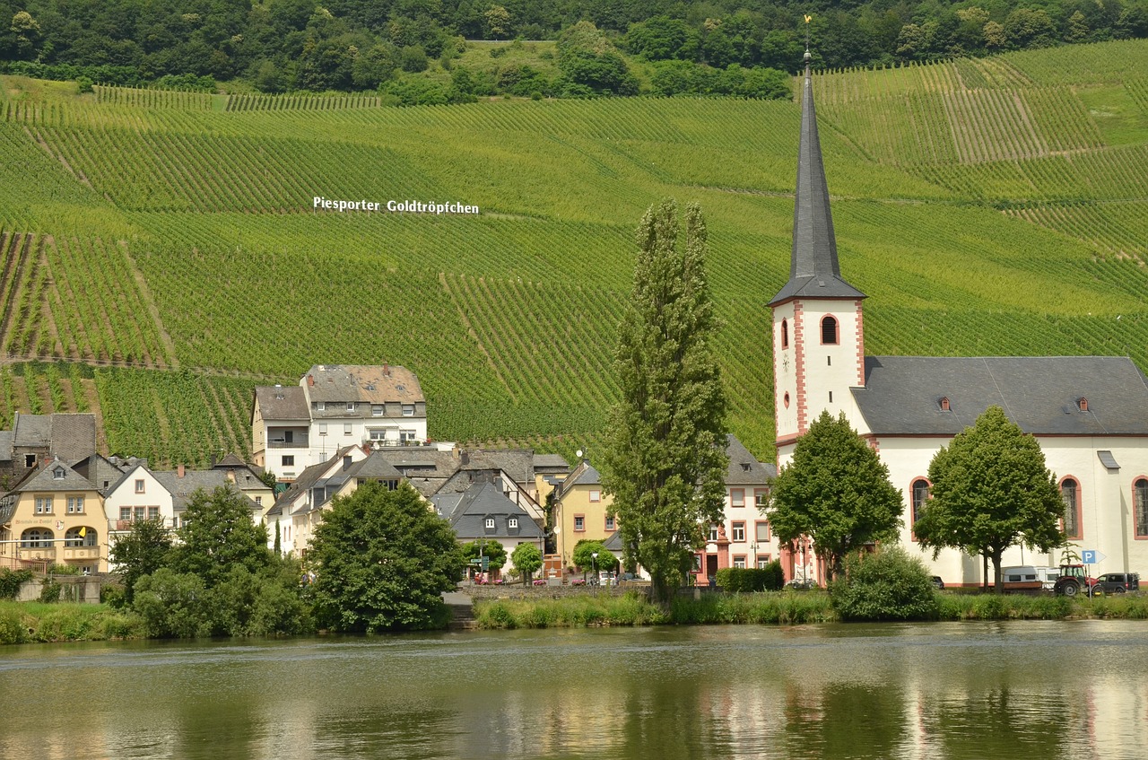 Image - river moselle wine piesport