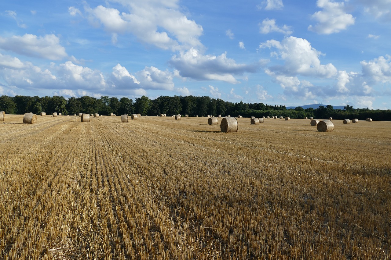 Image - nature hay bales arable cereals
