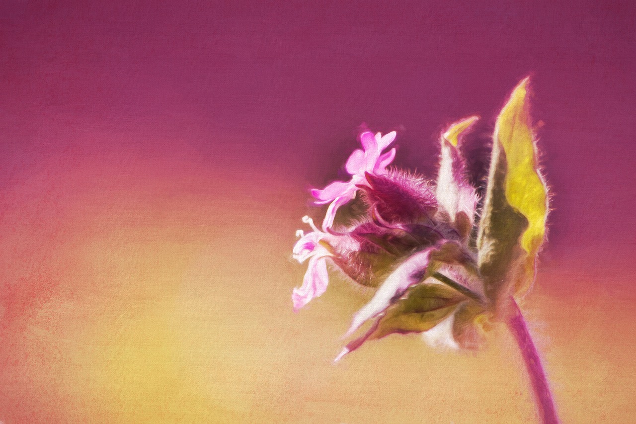 Image - image painting digital painting