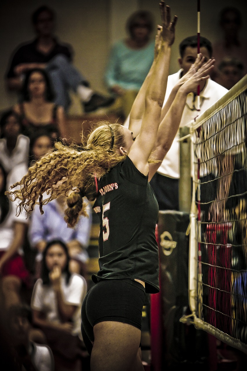 Image - volleyball girl blocking female