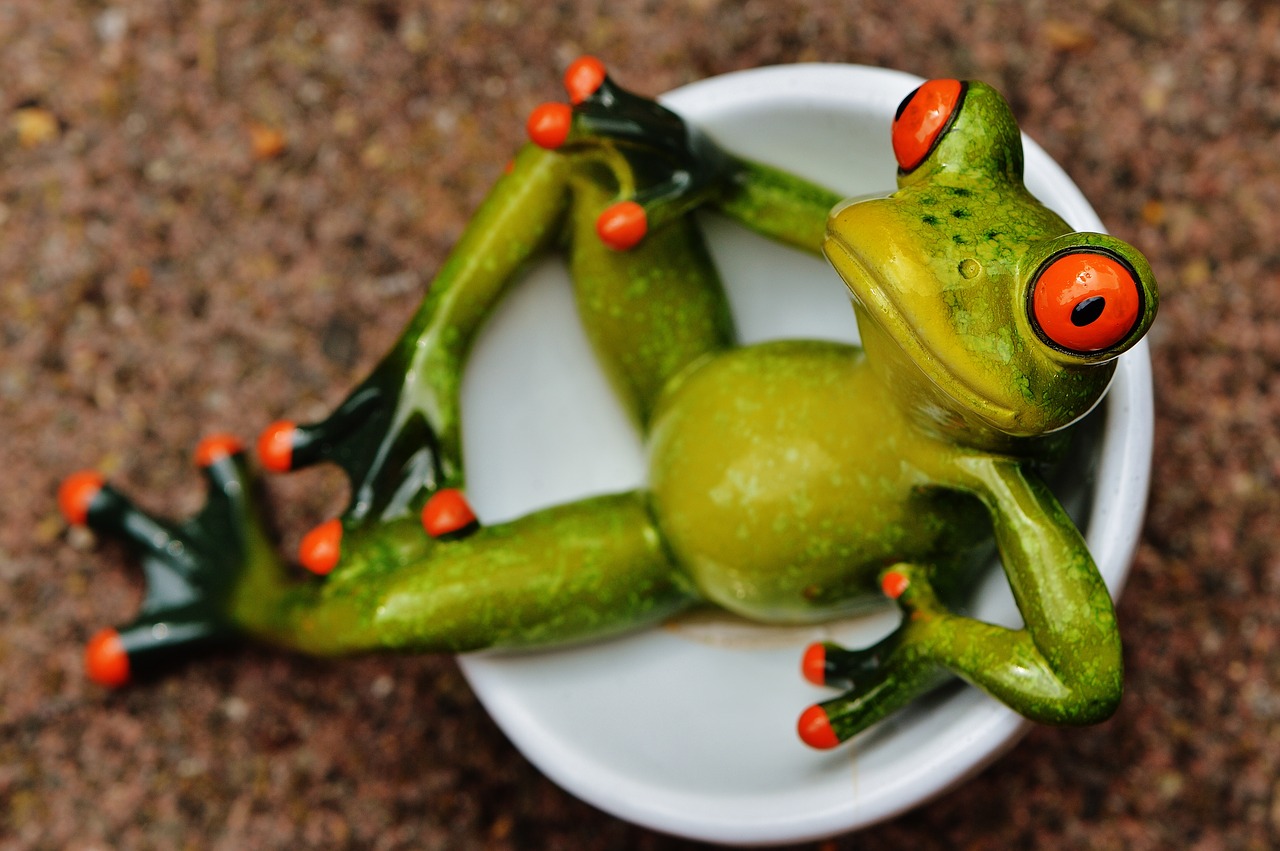 Image - frog funny cute figure cozy sit