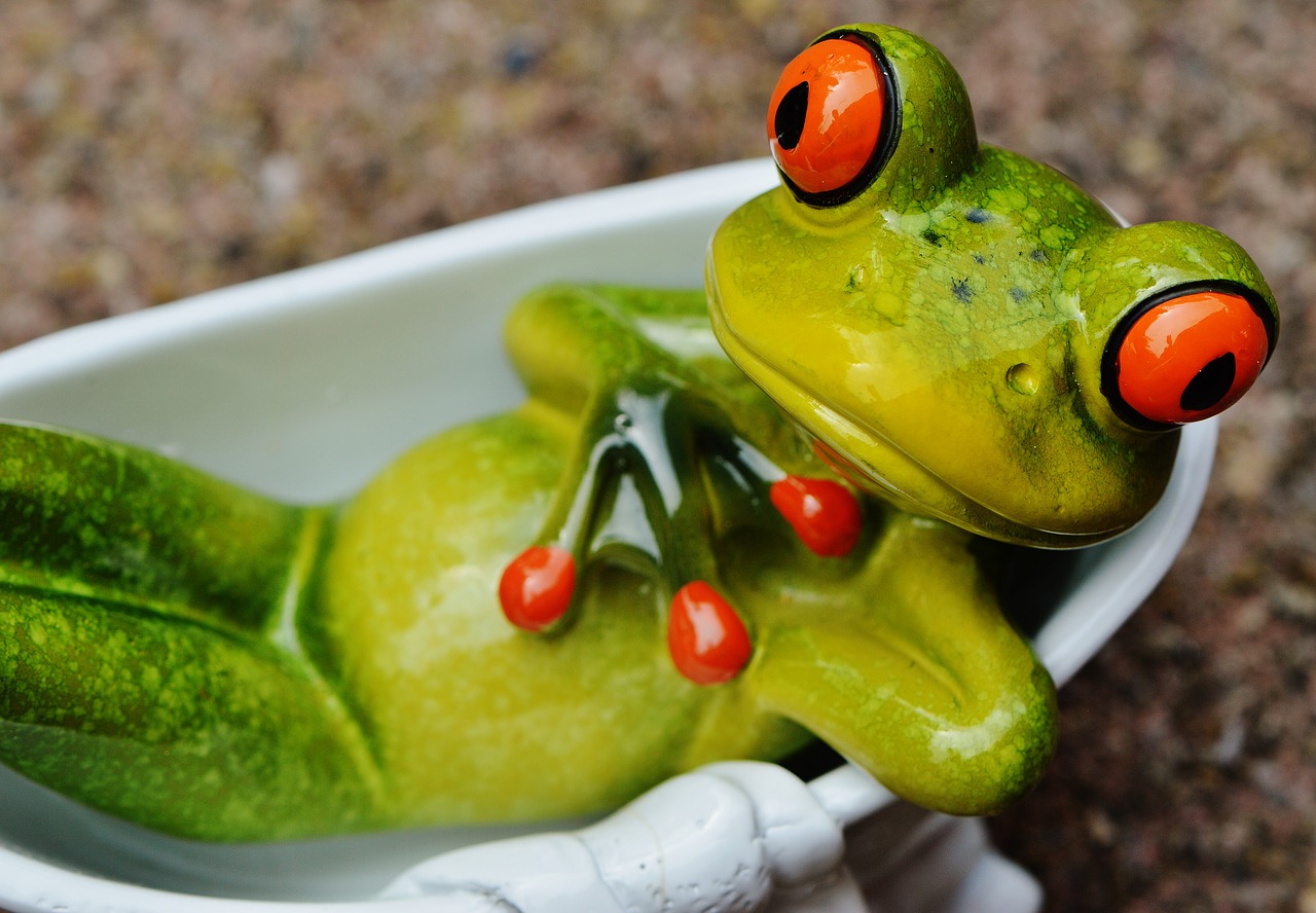 Image - frog funny bath cute concerns