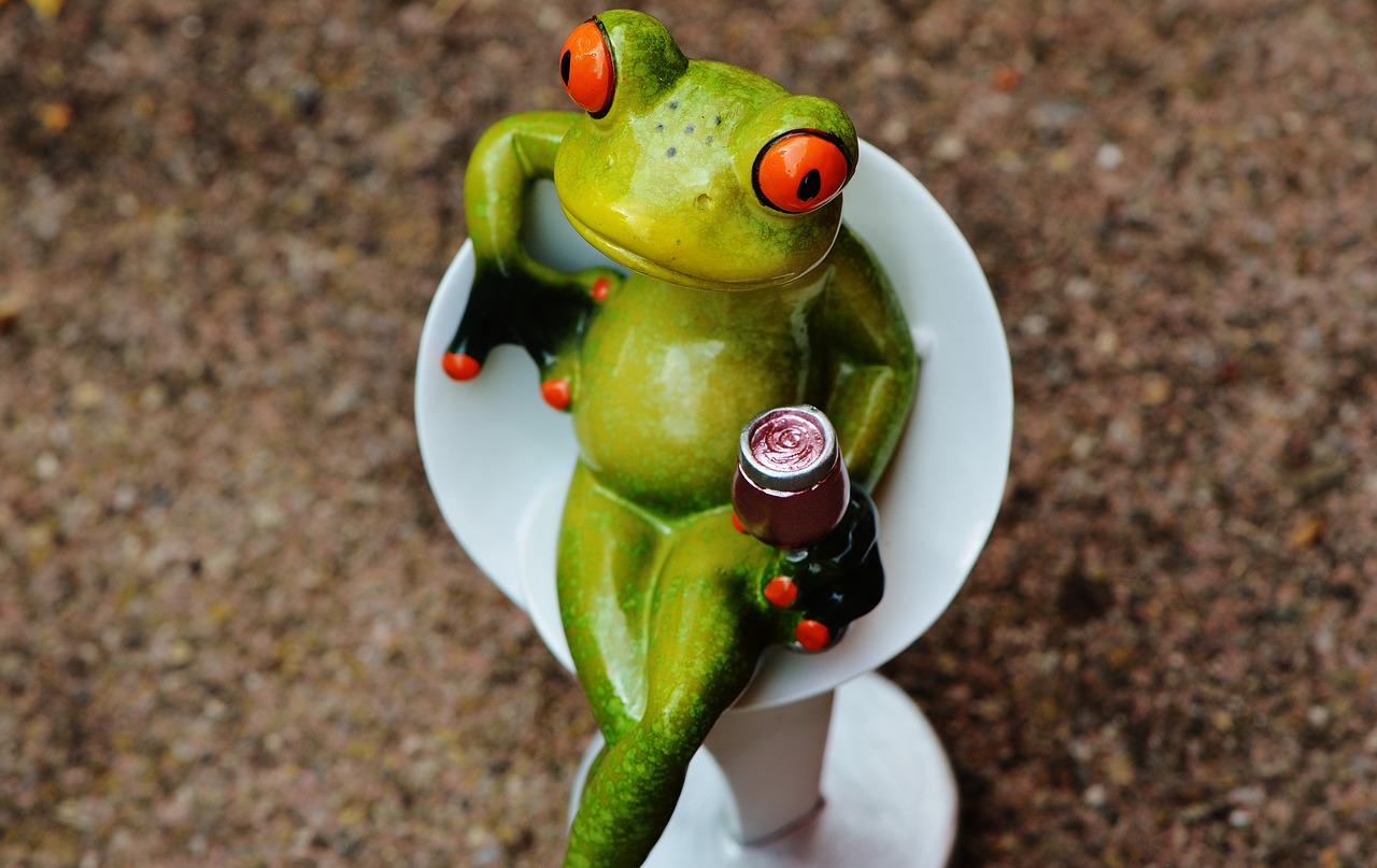 Image - frog chick funny cocktail drink