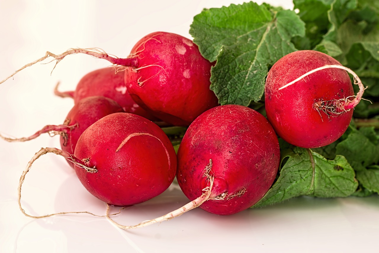 Image - radish vegetable root salad
