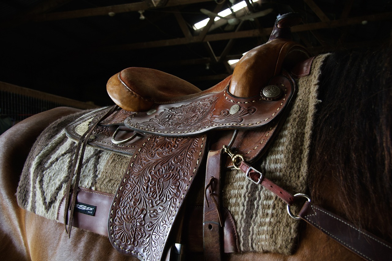 Image - western saddle ride stall horse