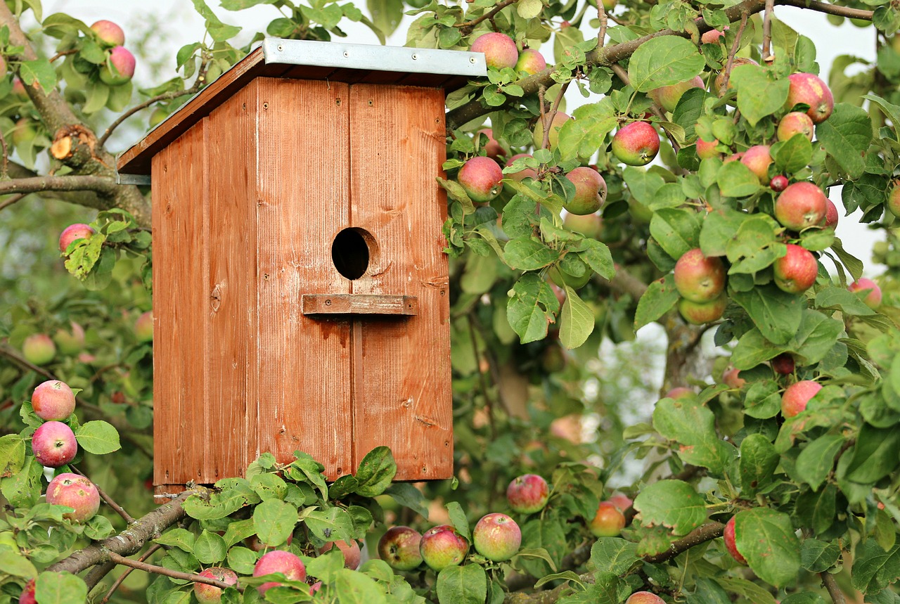 Image - birdhouse cottage apple tree jack