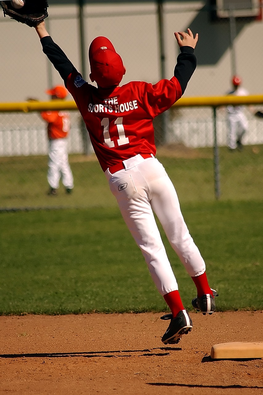 Image - baseball catching leaping ball