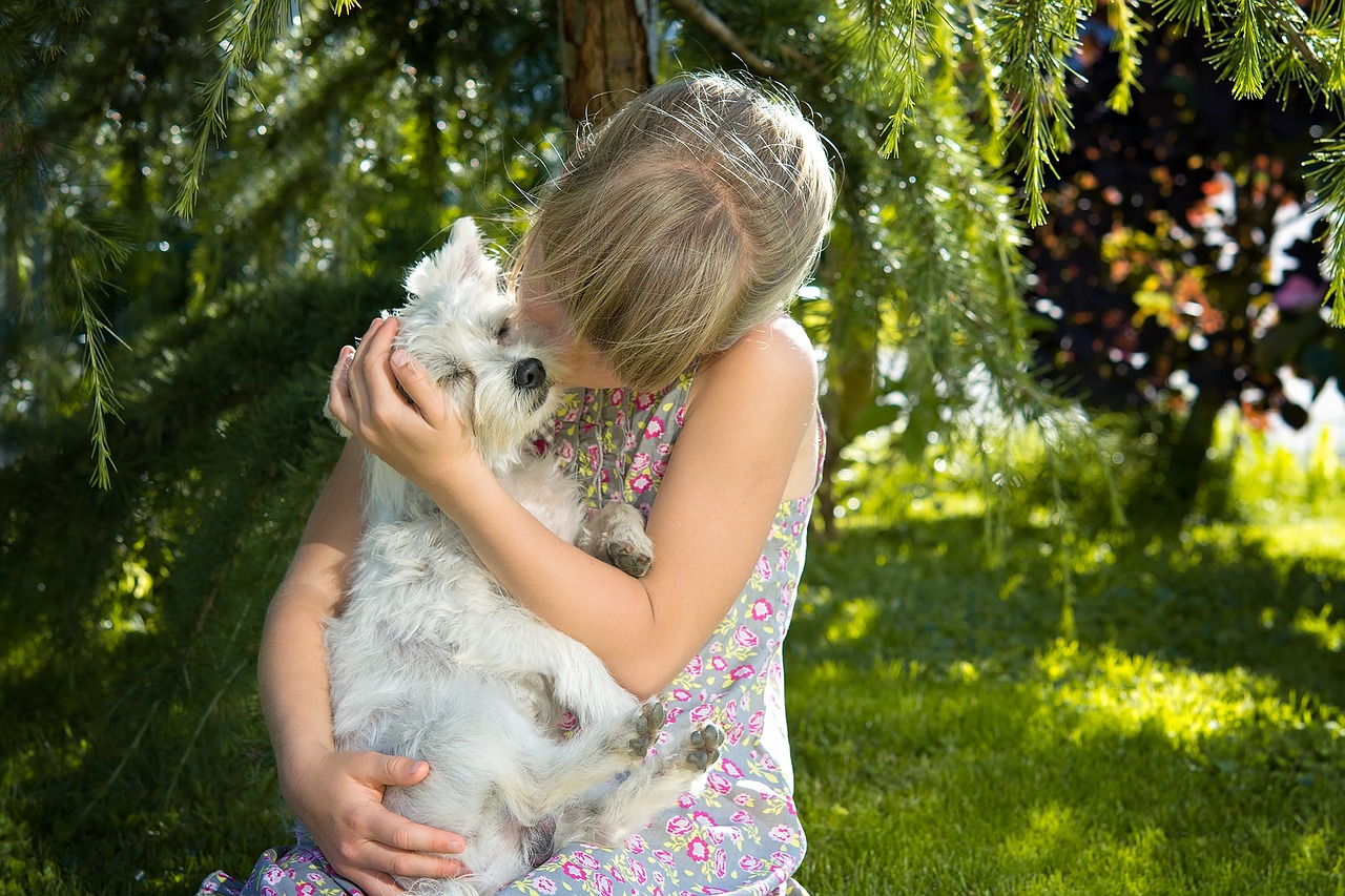 Image - child girl dog small dog white