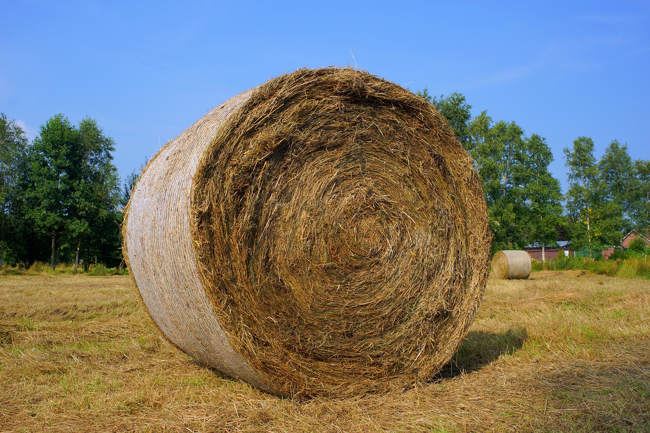 Image - harvest rundballepresser hay field