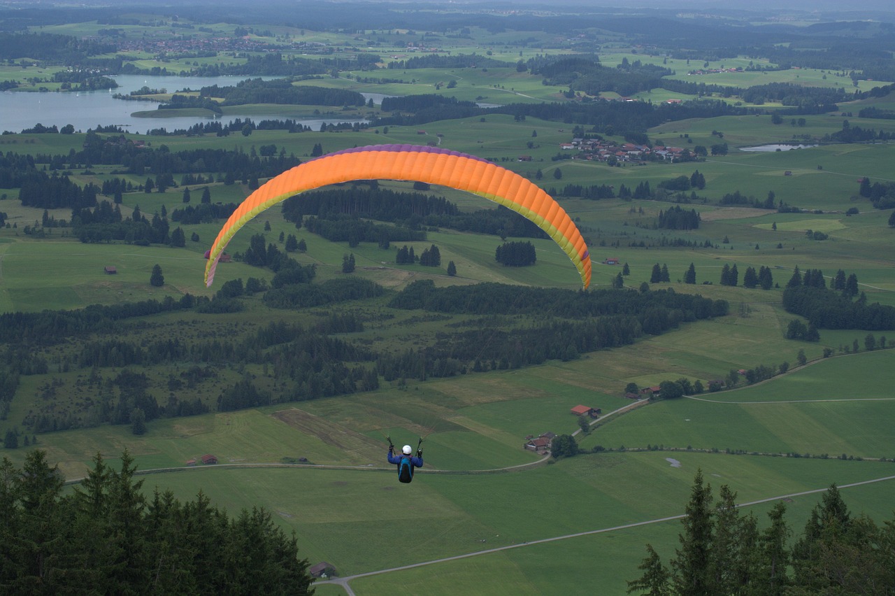 Image - paraglider springer paraglider