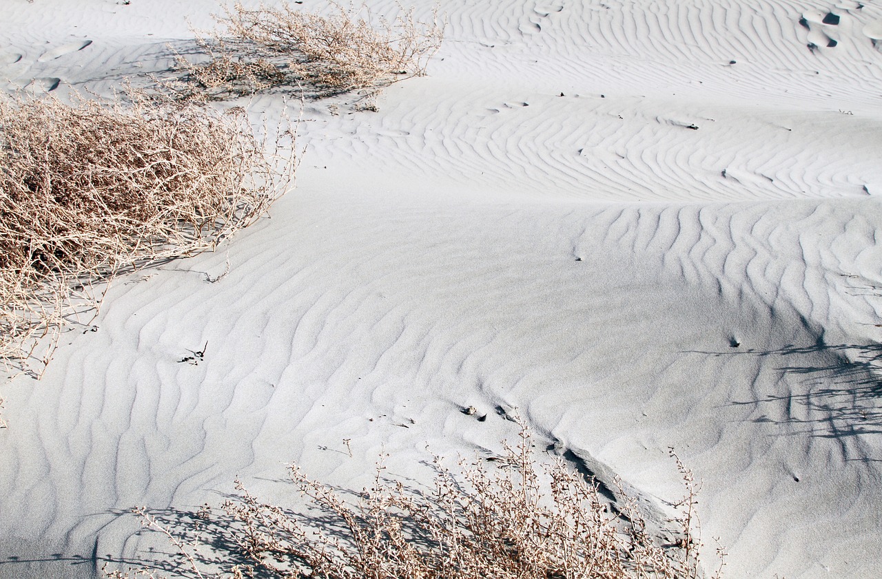 Image - beach sand seascape sand dunes