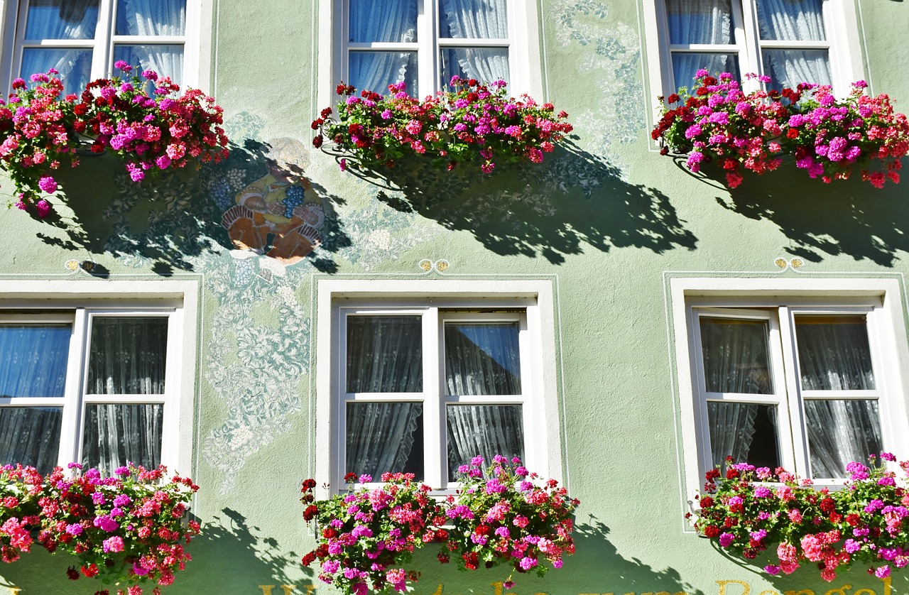 Image - flowers floral decorations geranium
