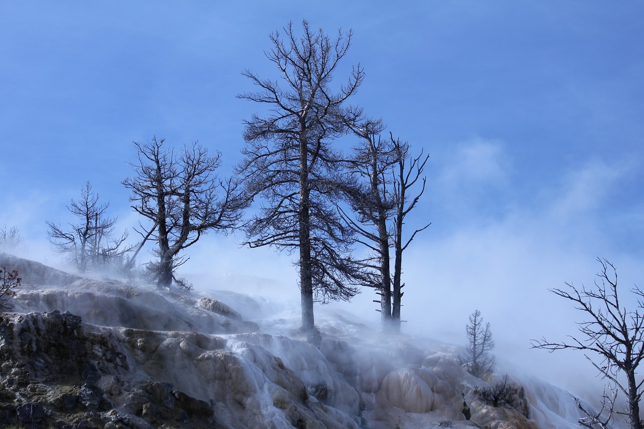 Image - travel yellowstone nature wyoming