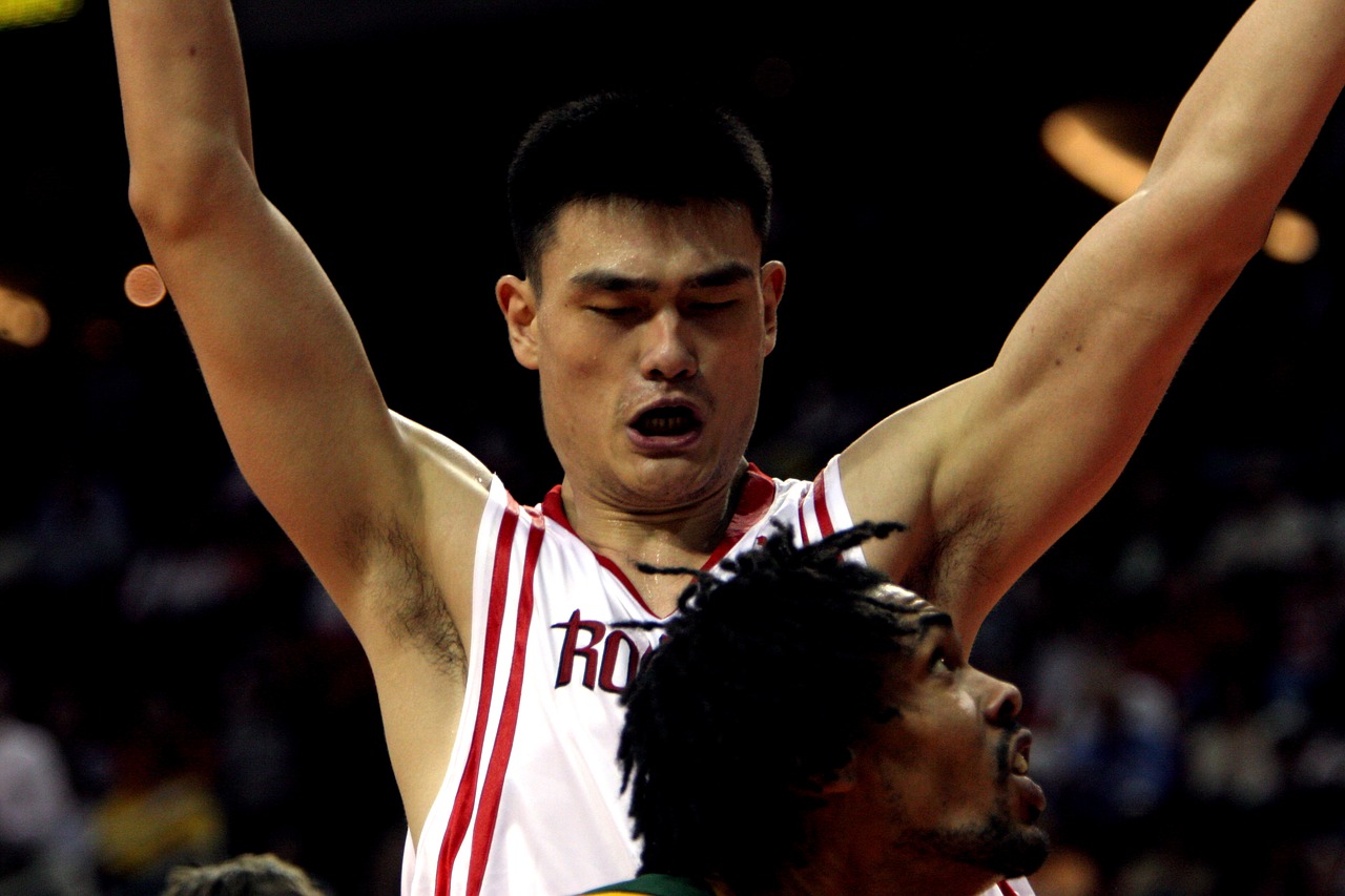 Image - basketball professional player