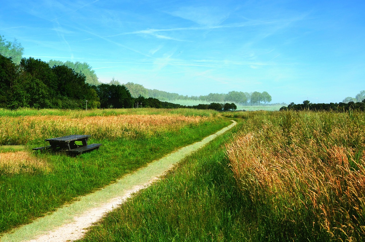 Image - field meadow grass path landscape