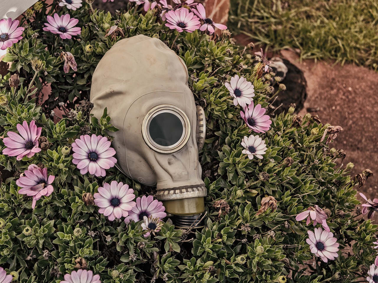 Image - mask garden flowers creepy evil