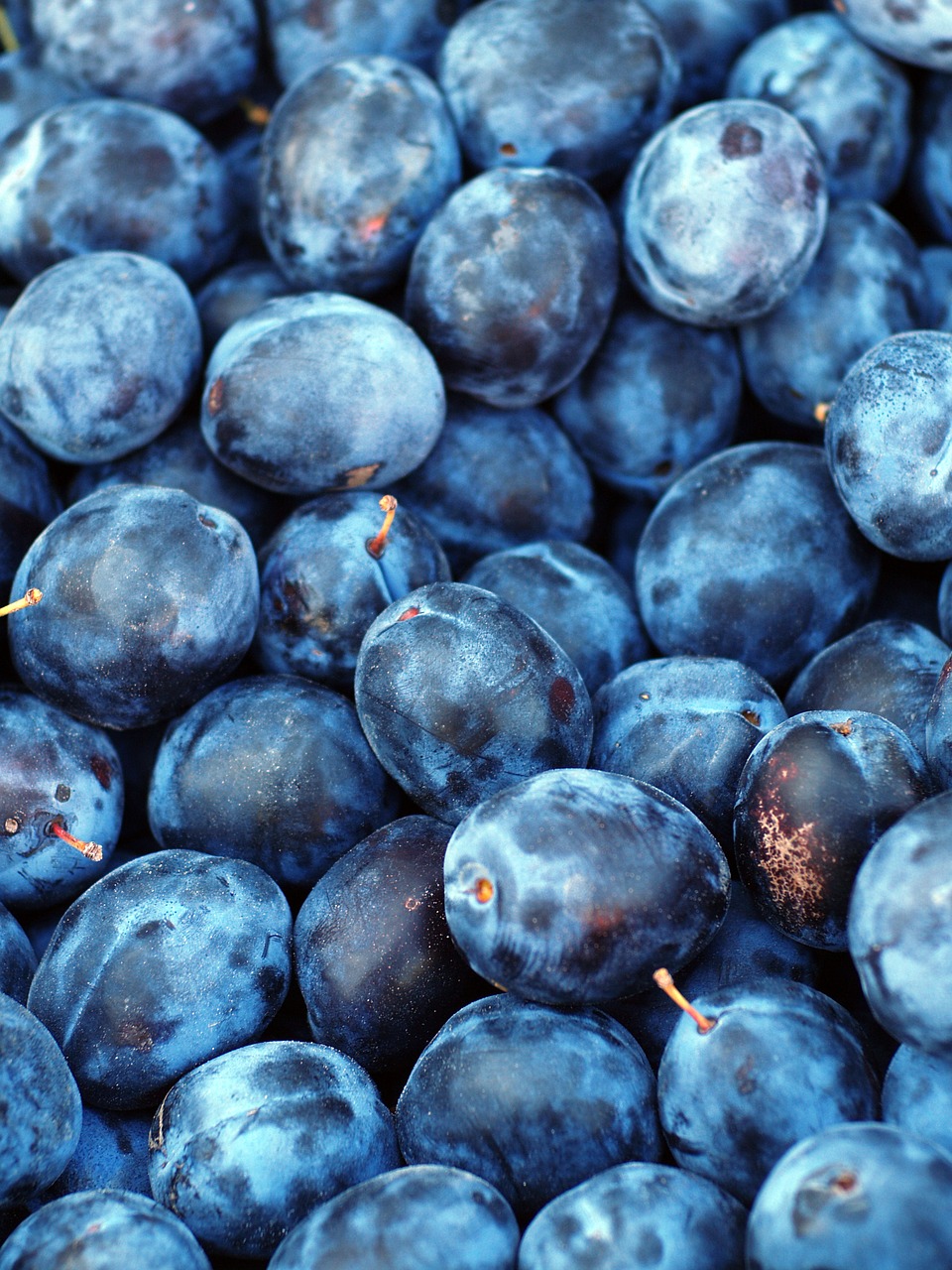 Image - plum fruit texture blue purple