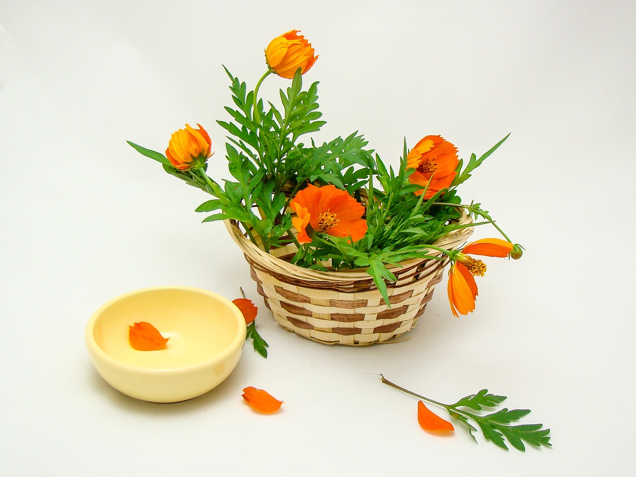 Image - flowers basket green orange yellow