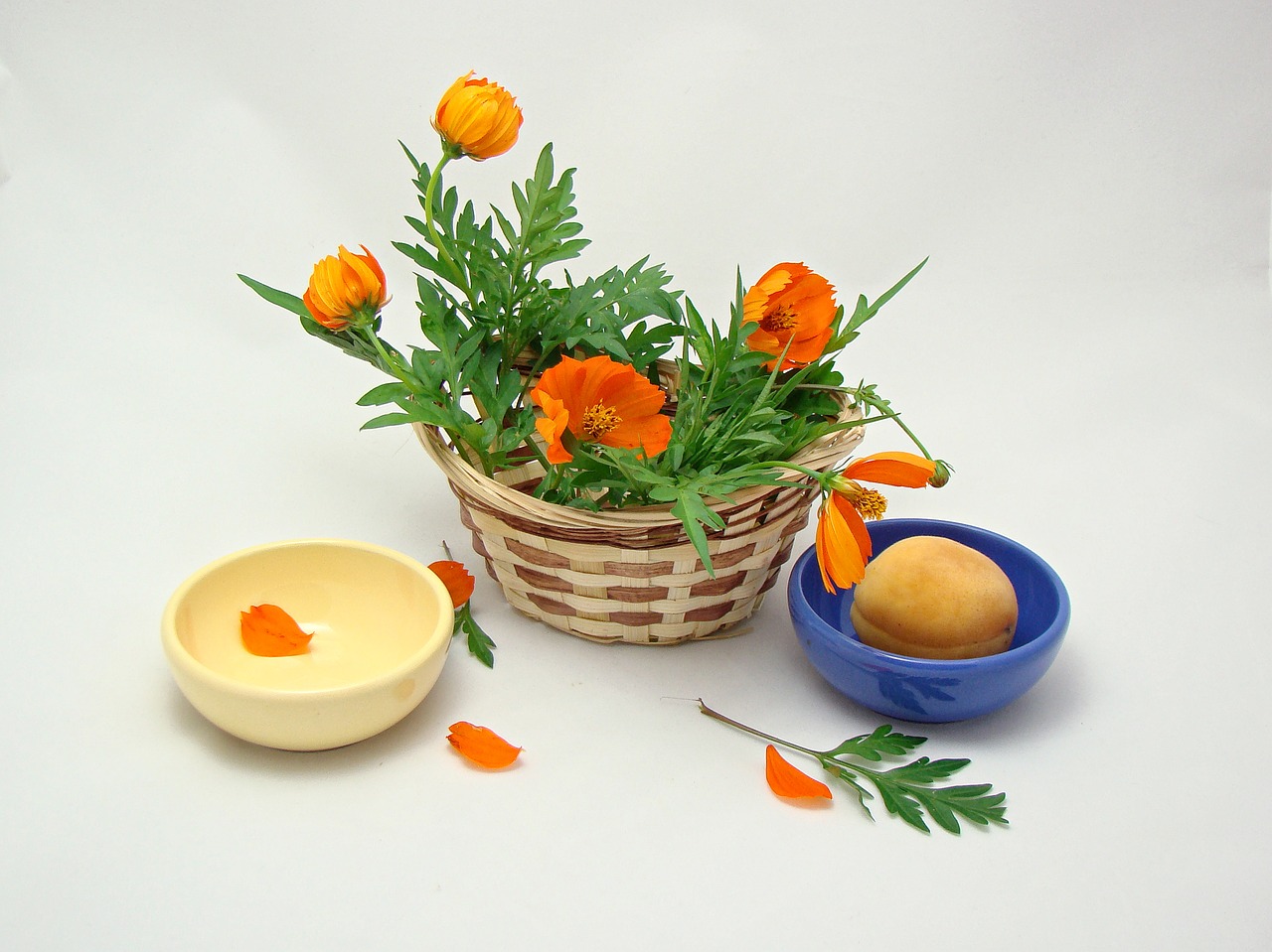 Image - flowers basket green orange yellow