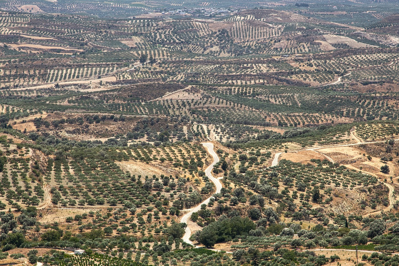 Image - landscape land crete grece inland