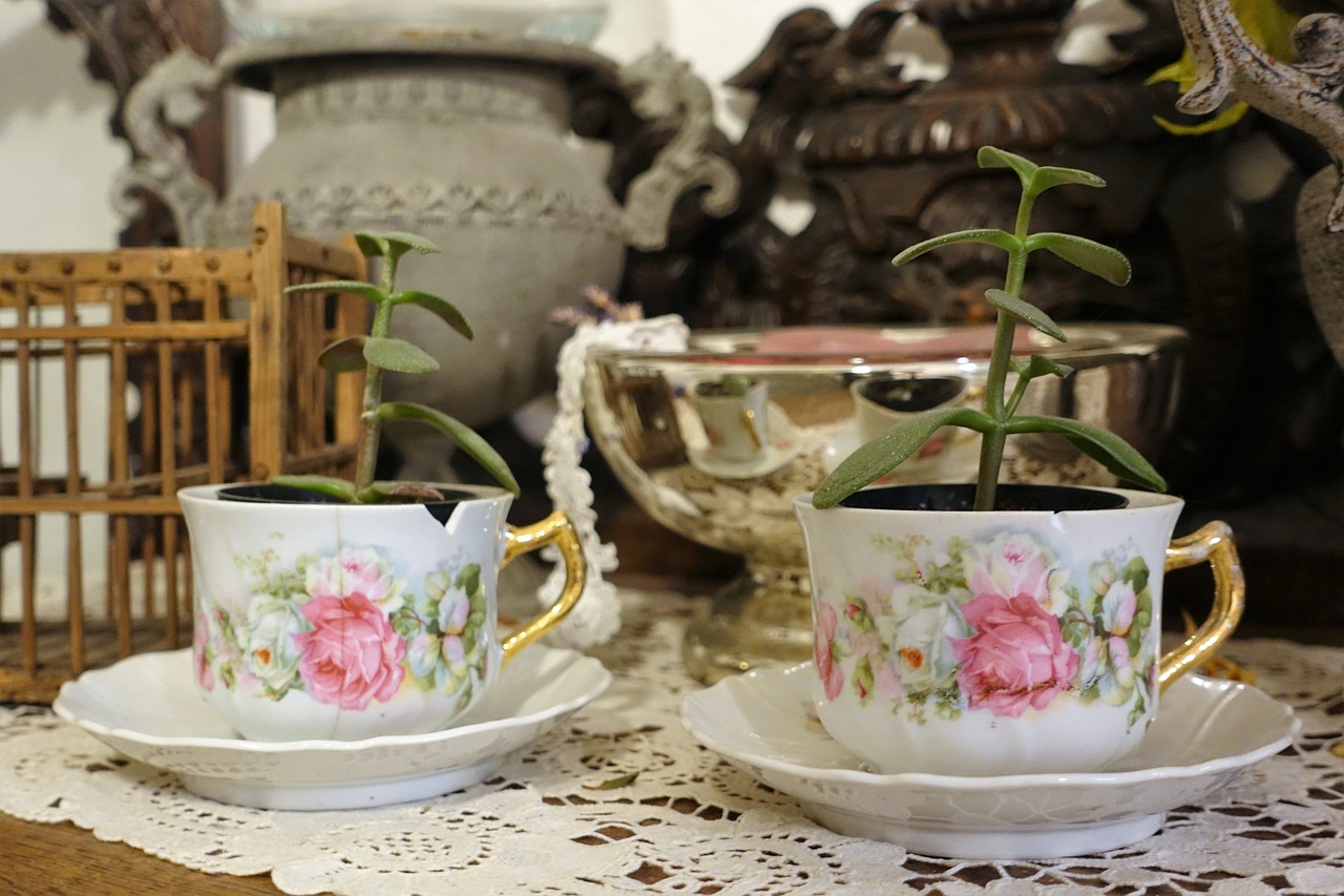 Image - tea cups vintage plants