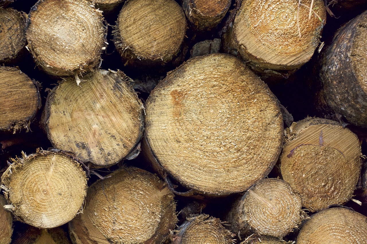 Image - wood logs pile timber outdoors