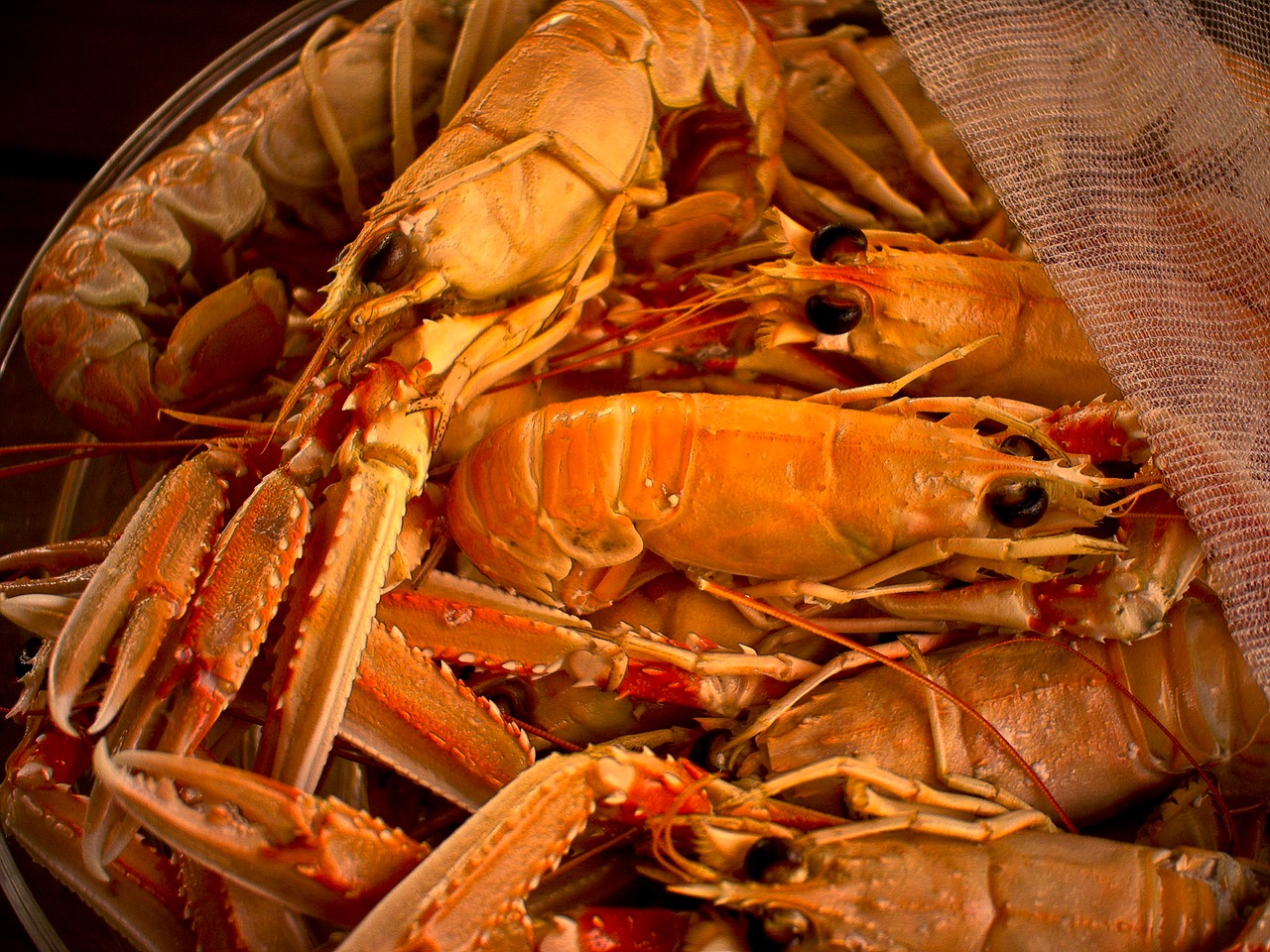 Image - shrimp meal dining seafood