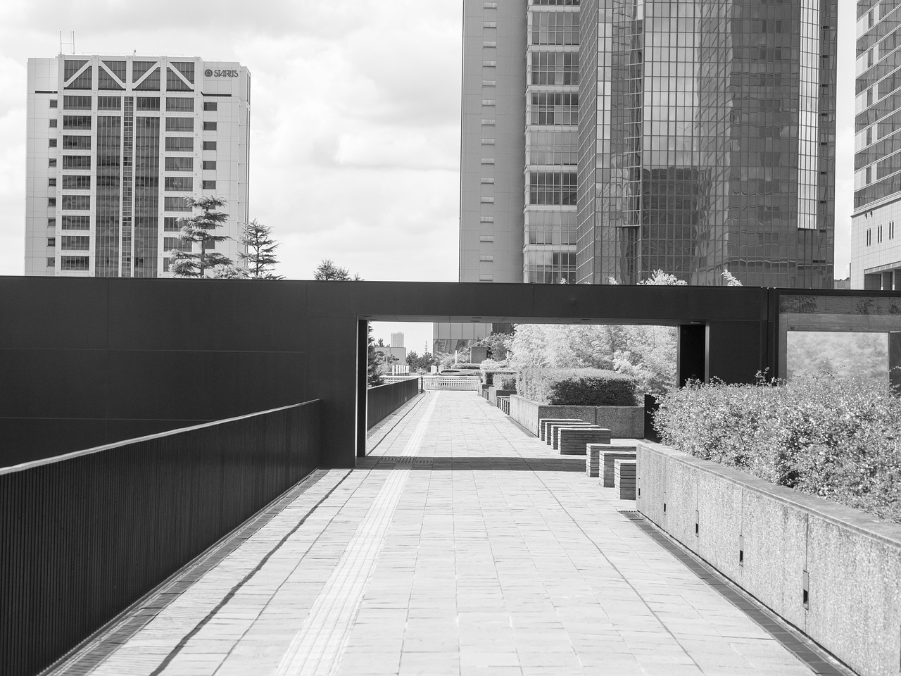 Image - black and white bill building