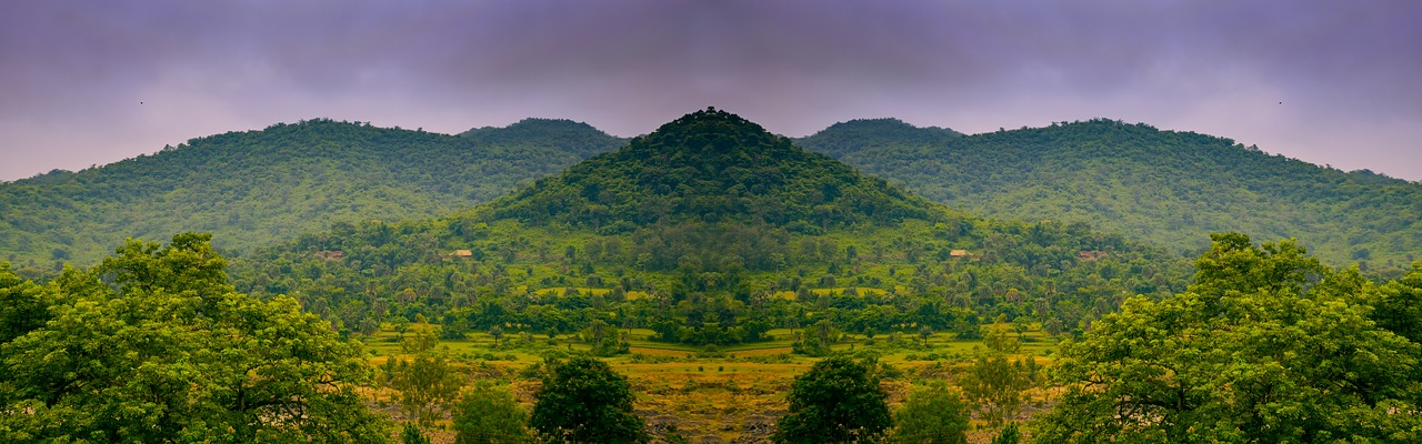 Image - panorama side green tree long