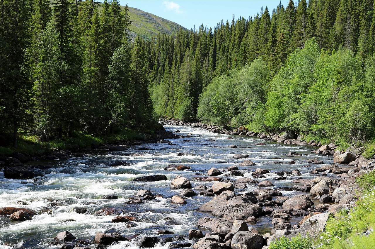 Image - torrent nature water water running