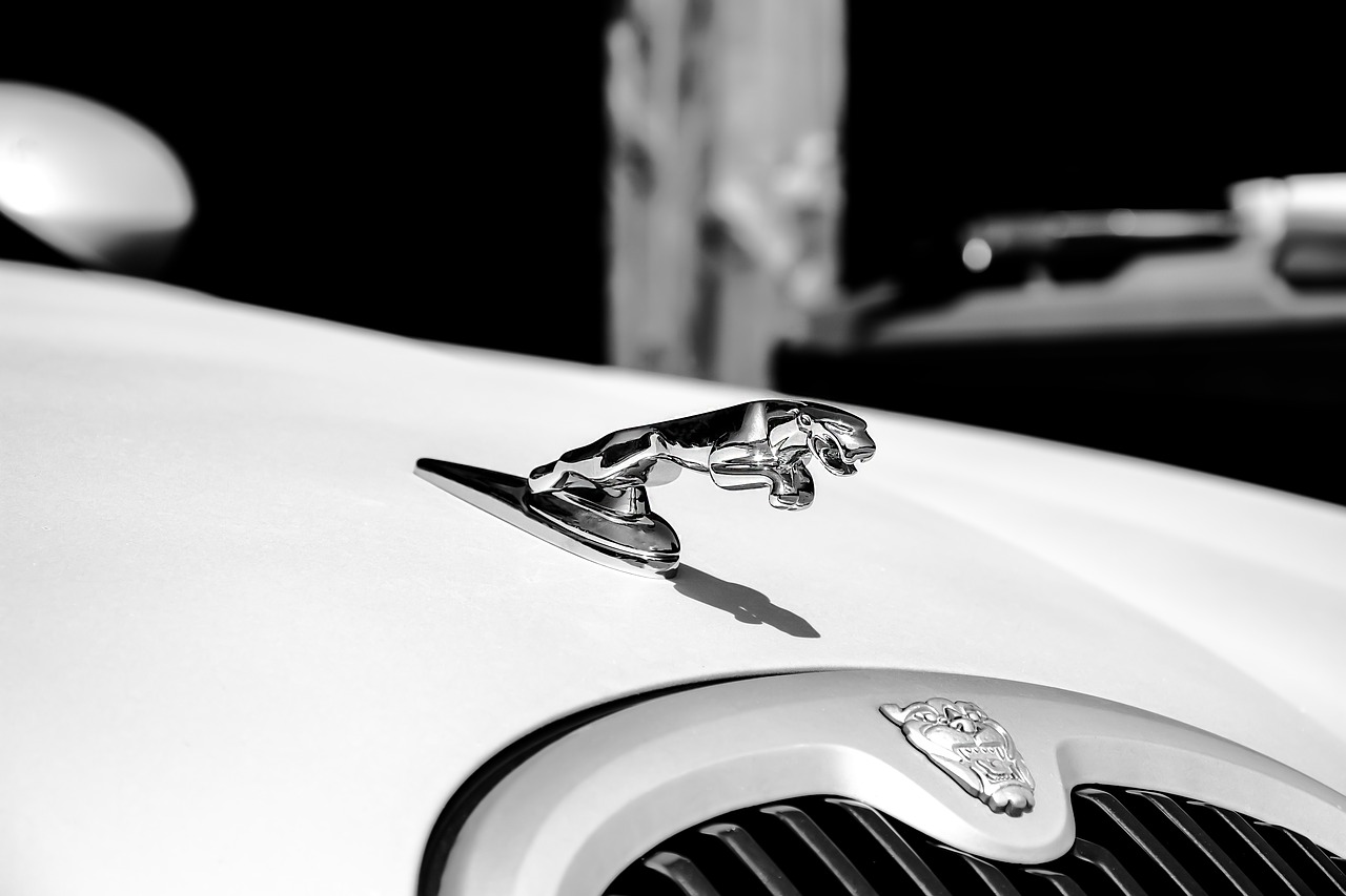 Image - jaguar white auto vehicle