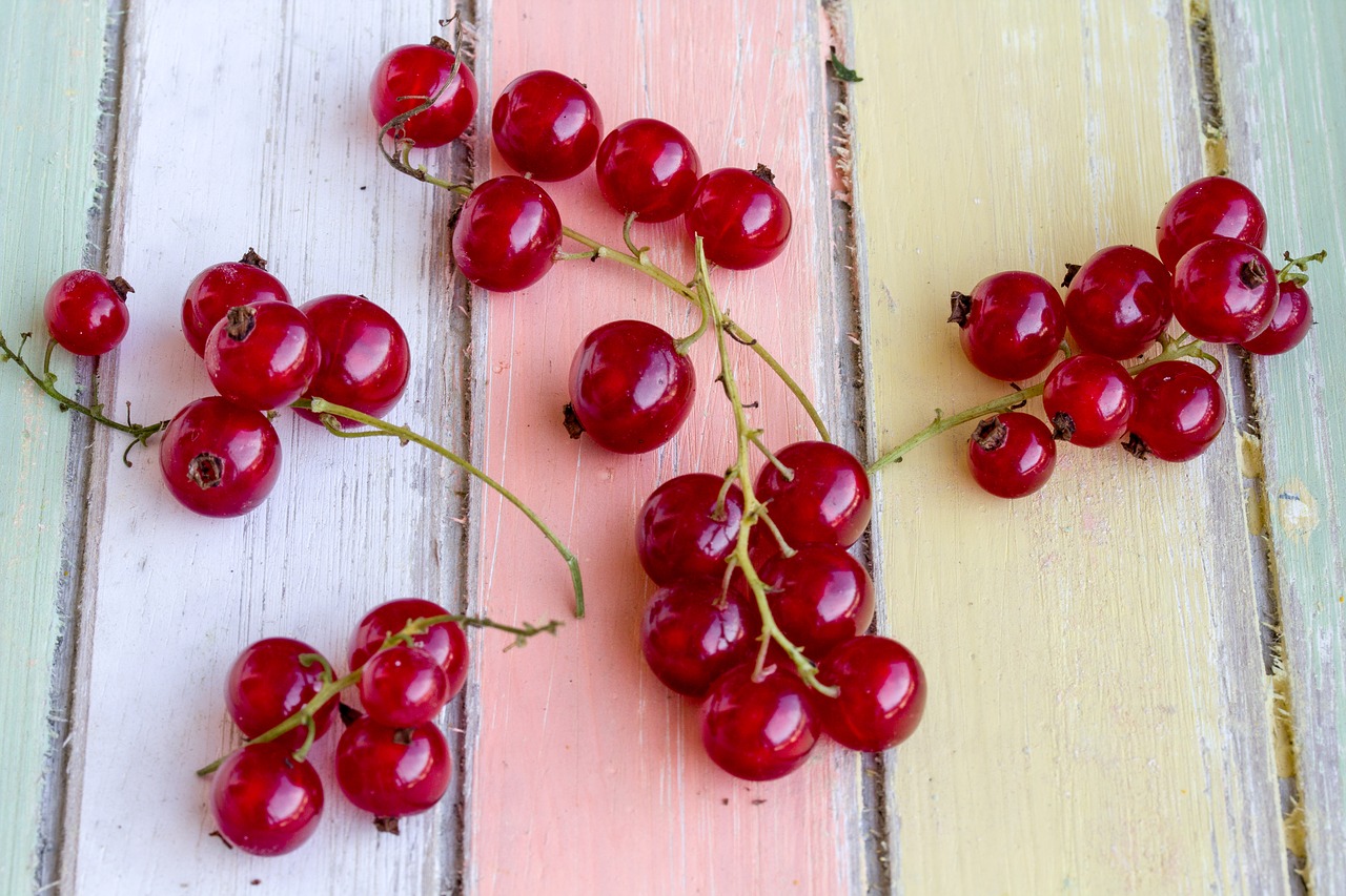 Image - background pastellfarben fruits