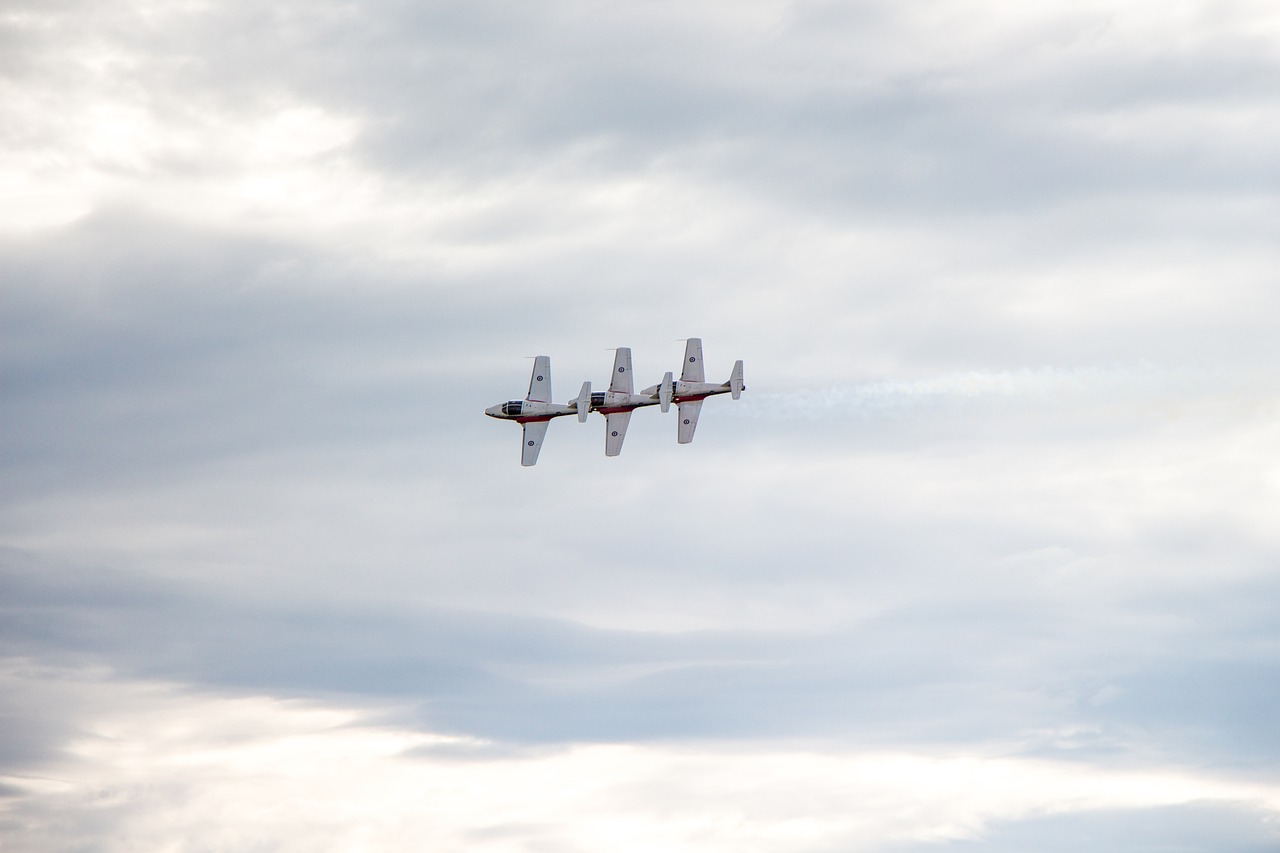 Image - snowbirds canada precision