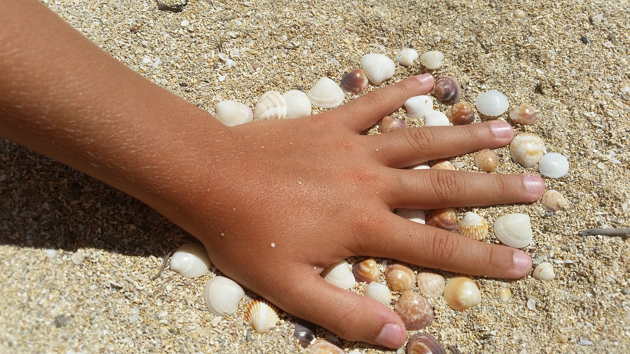 Image - hand child mussels beach sand