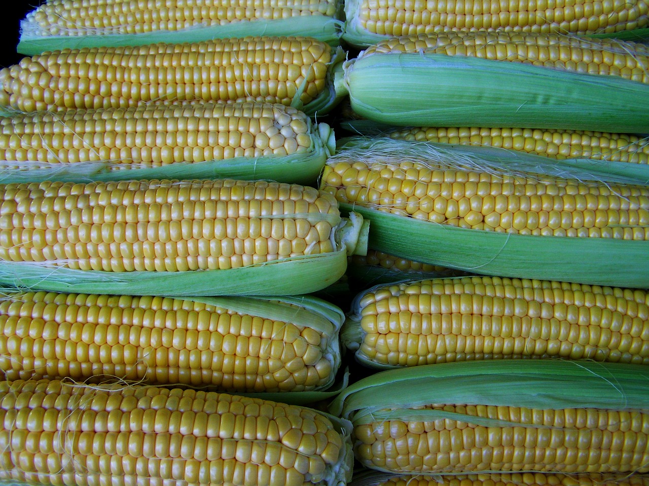 Image - corn dessert food