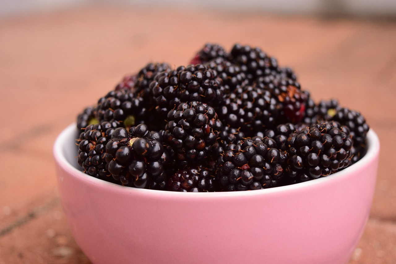 Image - blackberries bowl fruit