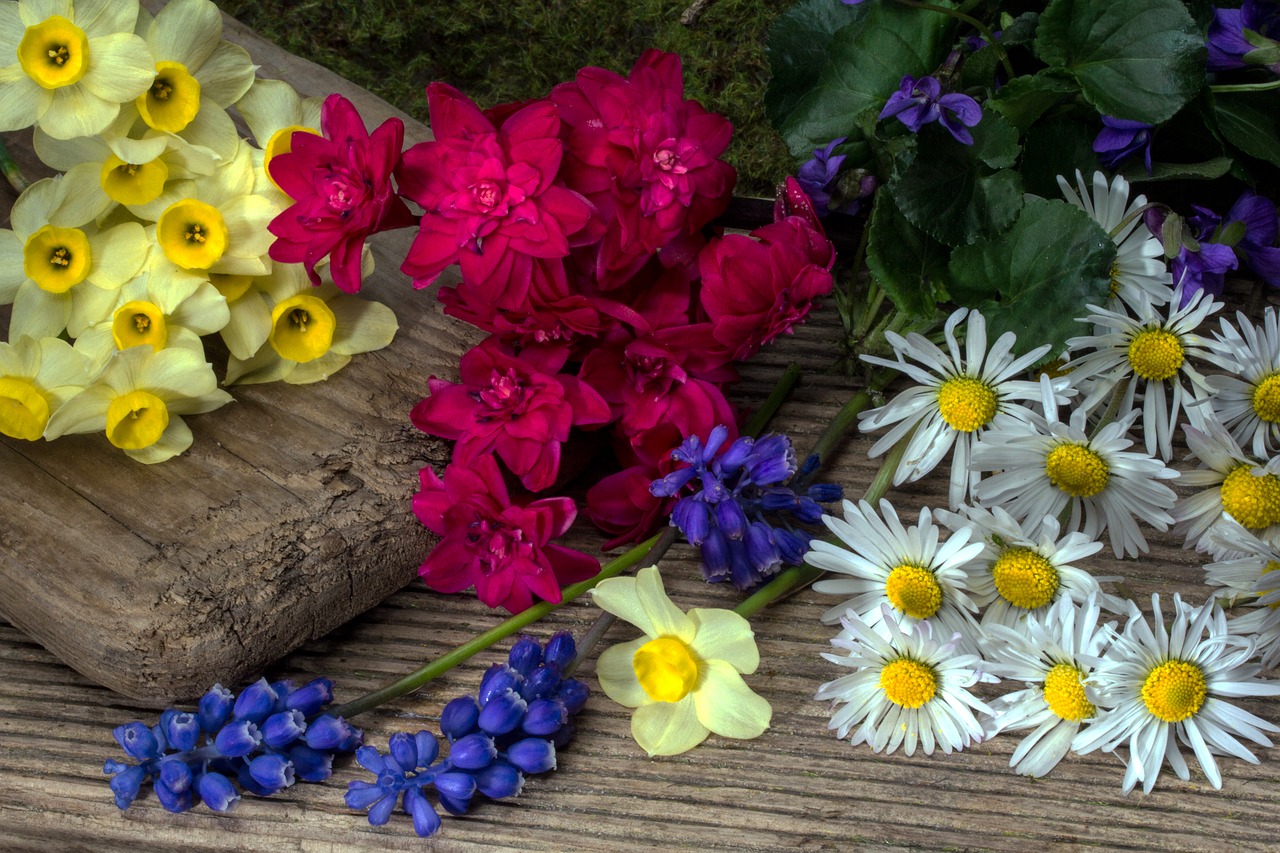 Image - flowers daffodils perl hyacinth