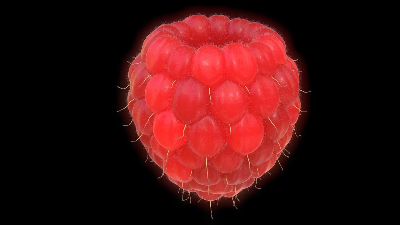 Image - raspberry fruit red large 3d