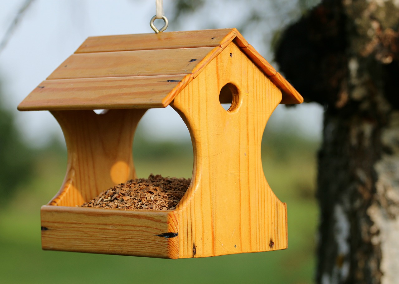 Image - feeder birds feed help cottage