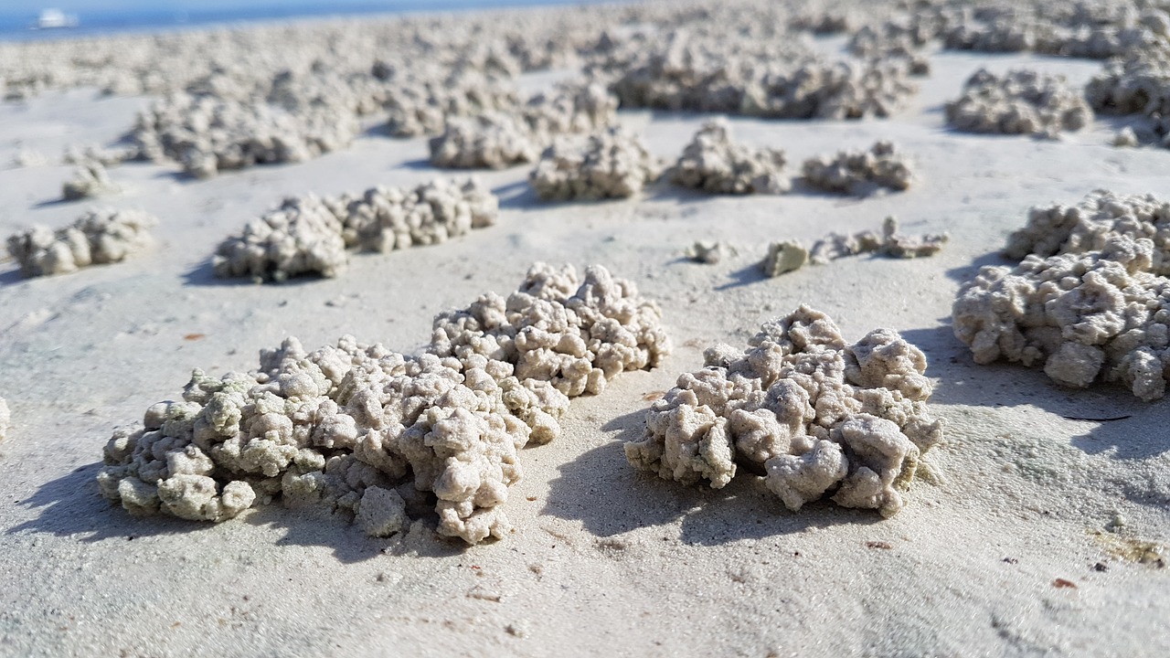 Image - sand texture beach marine ocean