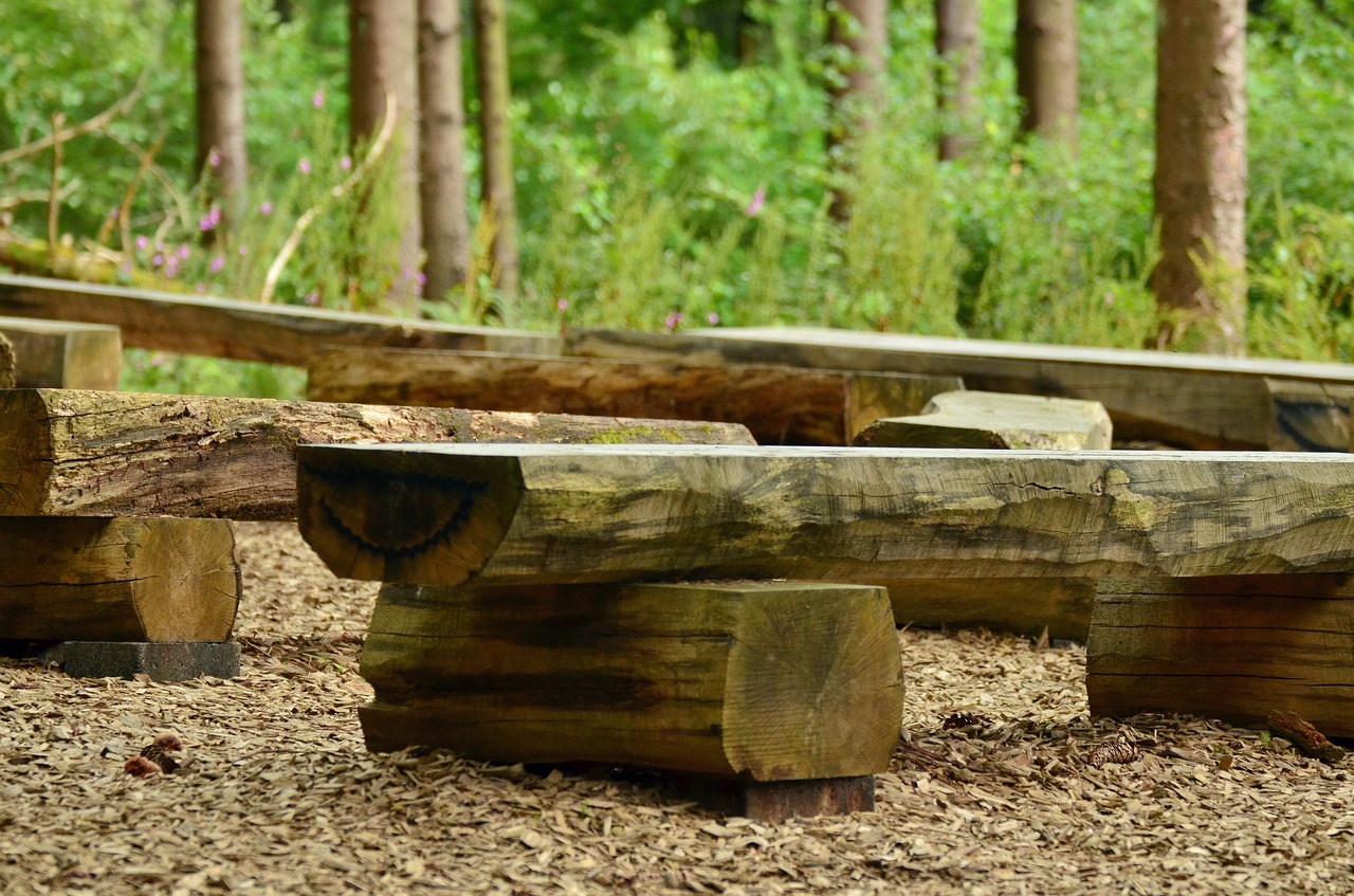 Image - seat wooden bench forest bench