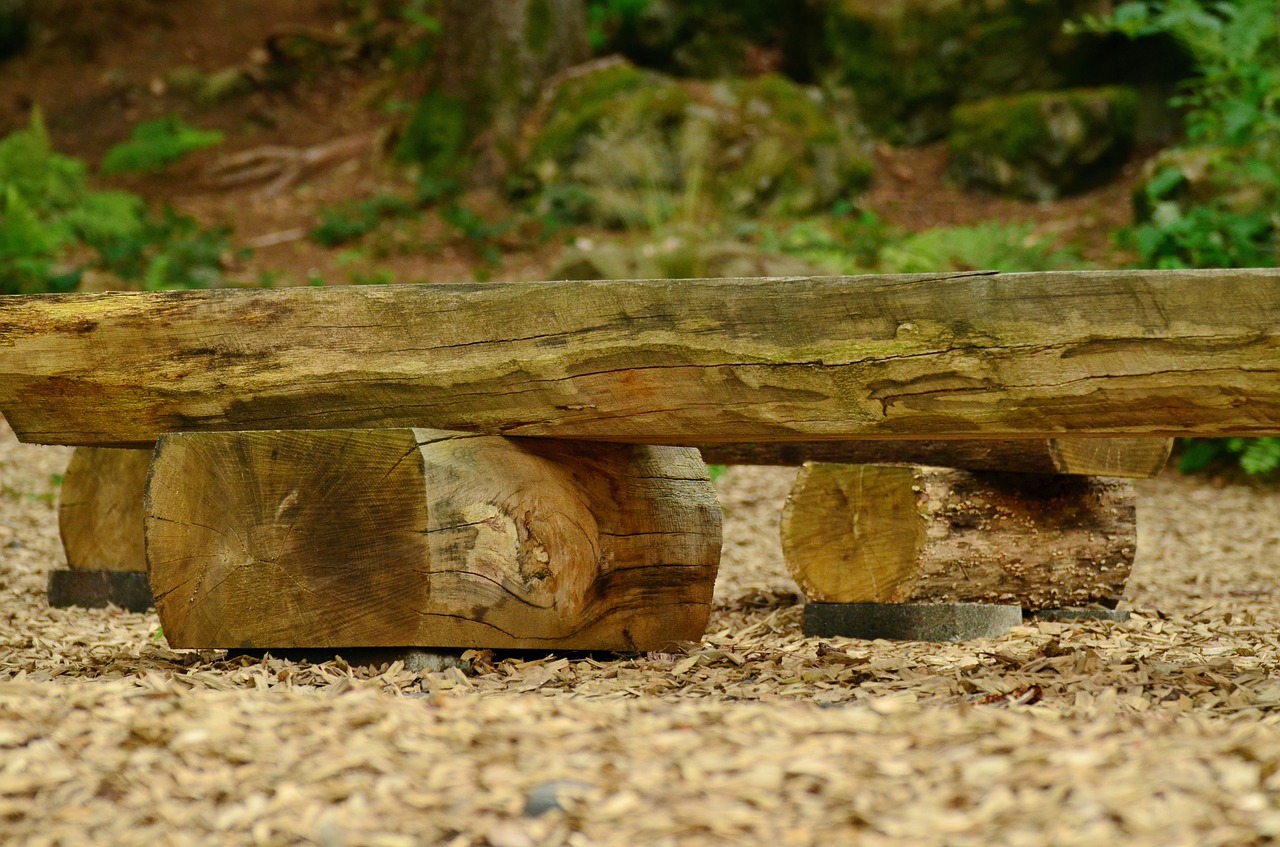 Image - seat wooden bench forest bench