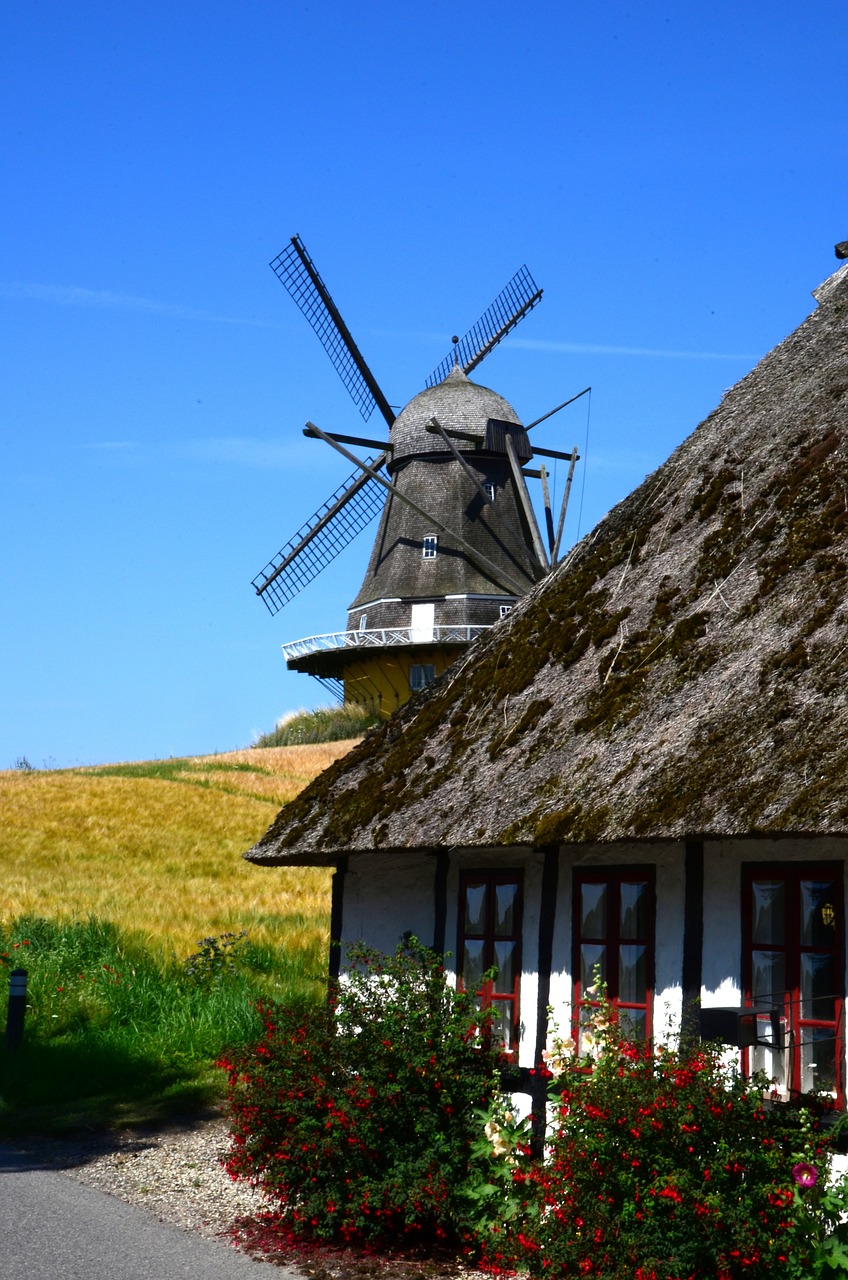 Image - mill denmark summer holiday