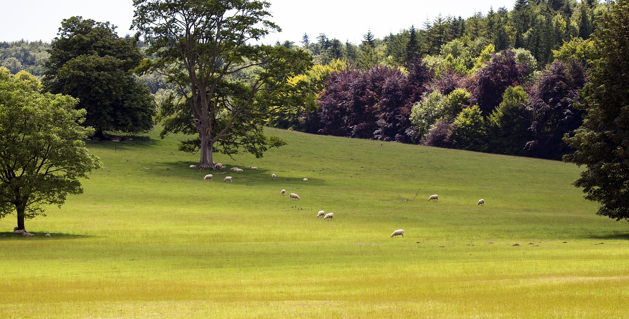 Image - south downs west sussex