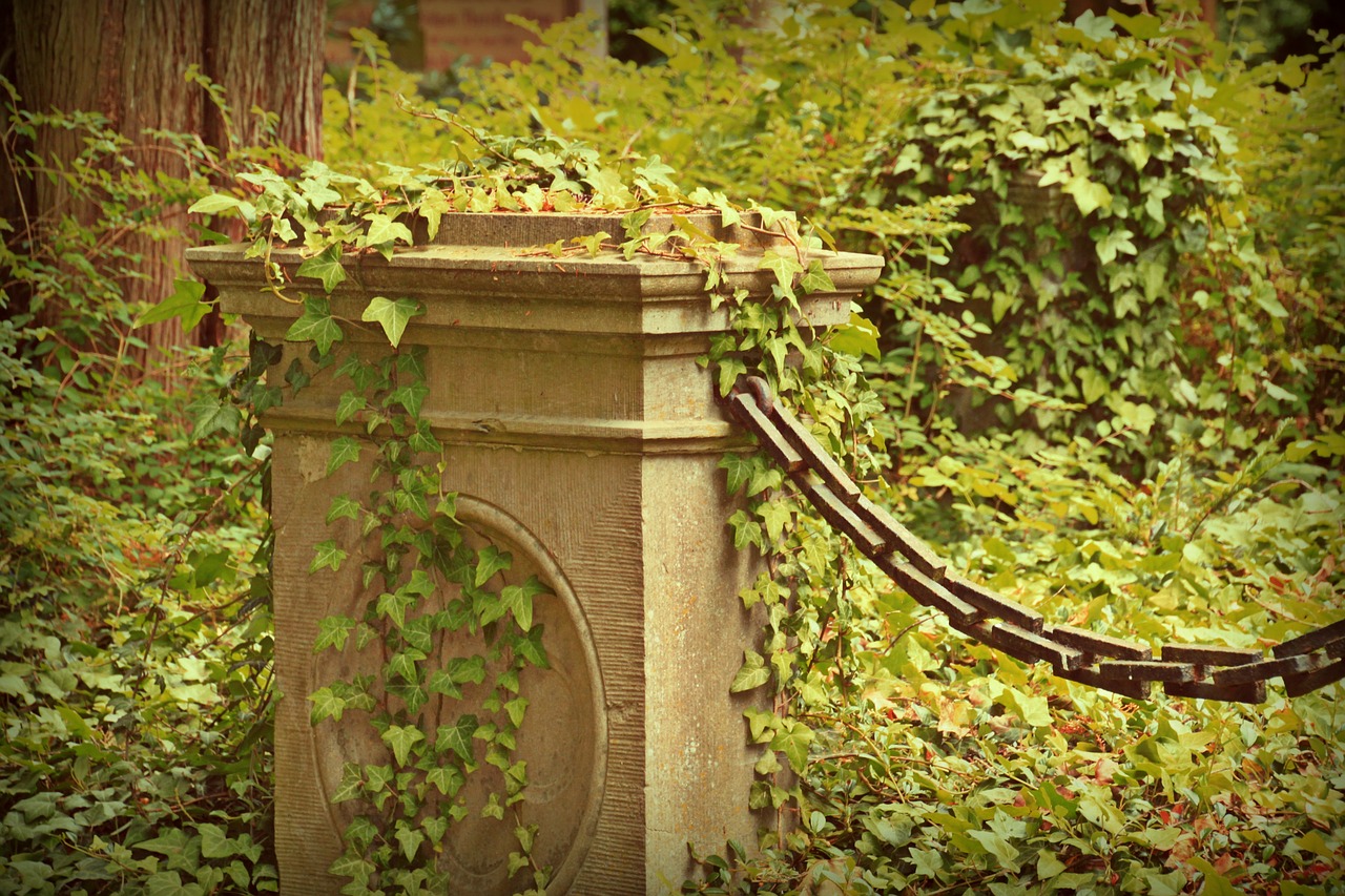 Image - cemetery grave old cemetery