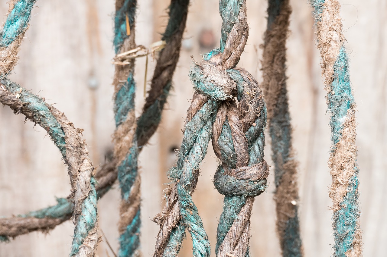 Image - rope cord knot knotted close dew