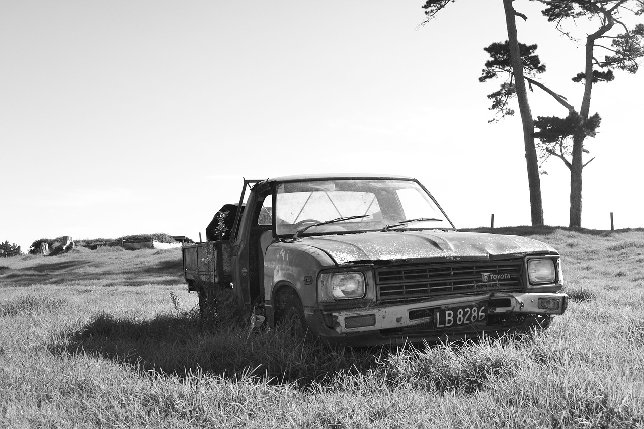 Image - hilux rusty ute monochrome