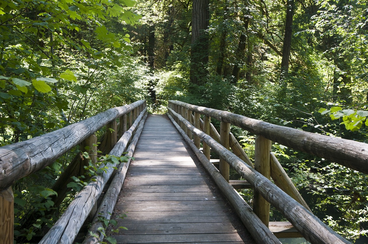 Image - bridge pathway planked wooden logs